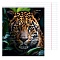 тетрадь  48л линейка "взгляд диких кошек" обложка цветная мелованная