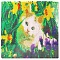 алмазная  живопись "darvish" 30*30см  котенок в цветах