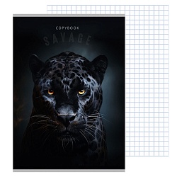 тетрадь  а4  96л кл. "дикая кошечка"