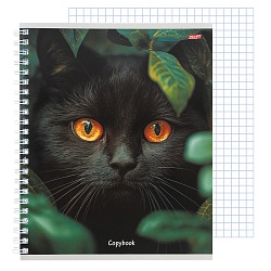 тетрадь  80л кл. на гребне "разные коты" обложка цветная мелованная