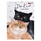 книжка записная  а6 160л  "дружба котиков" обложка глянцевая ламинация 7бц