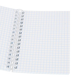 книжка записная  а6  80л "взгляды котиков" обложка цвет. на гребне