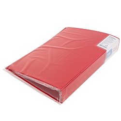 папка 100 файлов 700мкм красная