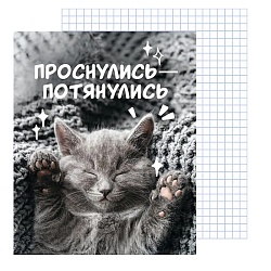 тетрадь  80л кл. на гребне "подкрадули" обложка мел. картон