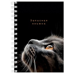 книжка записная  а6  80л "взгляды котиков" обложка цвет. на гребне