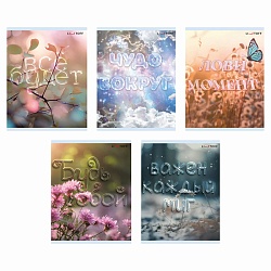 тетрадь  40л кл. "лови момент!" обл. мелов. картон