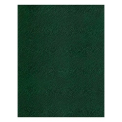 ежедневник недатированный  а6  96л. зелёный  бумвинил