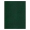 ежедневник недатированный  а6  96л. зелёный  бумвинил