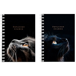 книжка записная  а6  80л "взгляды котиков" обложка цвет. на гребне