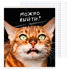 тетрадь  96л кл. "котики" обл. мел. картон,
