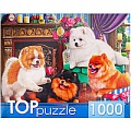 Пазлы 1000 элементов Игривые шпицы