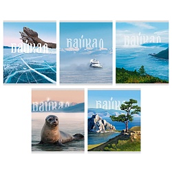 тетрадь  96л кл. "байкал" обл. мел. картон,