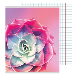 тетрадь  96л кл. "суккуленты" обложка уф-лак
