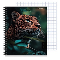 тетрадь  48л кл. на гребне "красивые кошачьи"
