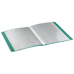 папка  20 файлов "brauberg" зелёная 0,5мм