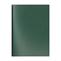 Тетрадь  А4  96л кл,  Зелёная  обложка бумвинил