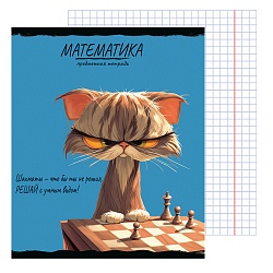 тетрадь предметная  48л кл математика "про хвост" 