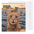 Тетрадь  48л кл. "Коты-мемы" обложка цветная мелованная