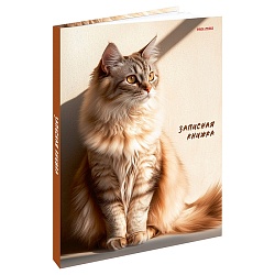 книжка записная  а5  80л "рыжий кот в лучах солнца" 7бц