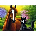 Набор для творчества "Рисование по номерам" холст-30*20см  Лошадь и жеребёнок