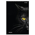 Блокнот А5  80л "Кошачий взгляд-1" на гребне