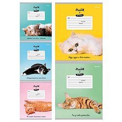 тетрадь  12л косая линия цв. обл "котики и фразы"