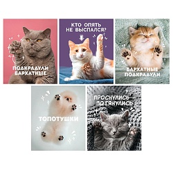 тетрадь  80л кл. на гребне "подкрадули" обложка мел. картон