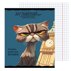 тетрадь предметная  48л кл английский язык "про хвост" 