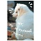 книга для записей а6 (110*145) 80л песец обложка глянцевая ламинация 