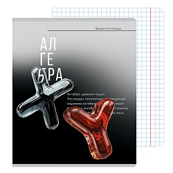 тетрадь предметная  48л кл алгебра "самоцвет" твин-лак