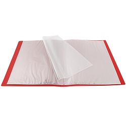 папка  30 файлов 500мкм красная