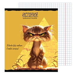 тетрадь предметная  48л кл история "про хвост" 