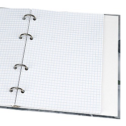 тетрадь на кольцах  80л  "величественная архитектура"