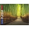 пазлы 1500 элементов  бамбуковый лес