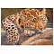 алмазная  мозаика 40*50см "леопард"