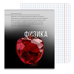 тетрадь предметная  48л кл физика "самоцвет" твин-лак