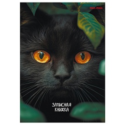 книжка записная  а6  96л "взгляд чёрного кота" обложка цвет. ламинир 7бц