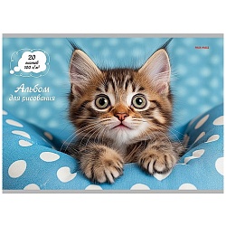 альбом для рисования 20л. на скрепке "милый котик-2"
