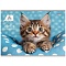 альбом для рисования 20л. на скрепке "милый котик-2"