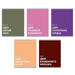 тетрадь  48л кл. "редкие цвета" обложка выбор. лак