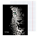 Тетрадь  48л кл "Леопард на чёрном" обложка мел. кар.
