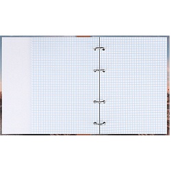 тетрадь на кольцах  80л  "красивый мост"