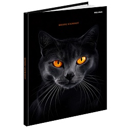 Бизнес-блокнот А5 80л "Чёрная кошка-2" глянцевая ламинация
