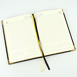 ежедневник недатированный  а5 152л iguana (черный) обложка искусств. кожа , золотой срез мет.уг