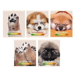 тетрадь  48л кл. "осторожно,щеночки" обл. мат. ламинация с эффектом "мокрый шёлк"