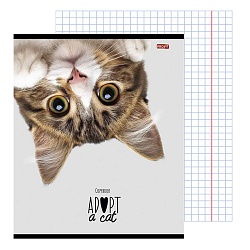 тетрадь  48л кл. "кошачьи мордочки-2" обложка цветная мелованная