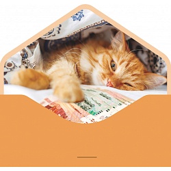 открытка-конверт для денег "бархатный. на исполнение желаний"