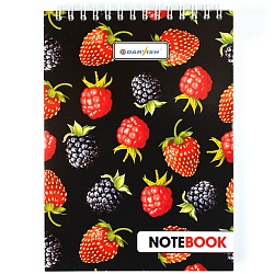 Блокнот 13*18см  48л "Яркое настроение" на гребне