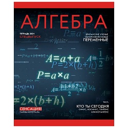 тетрадь  предметная  48л кл. алгебра.journal