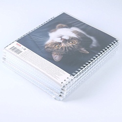 тетрадь  48л кл. на гребне "мурчащие котики"